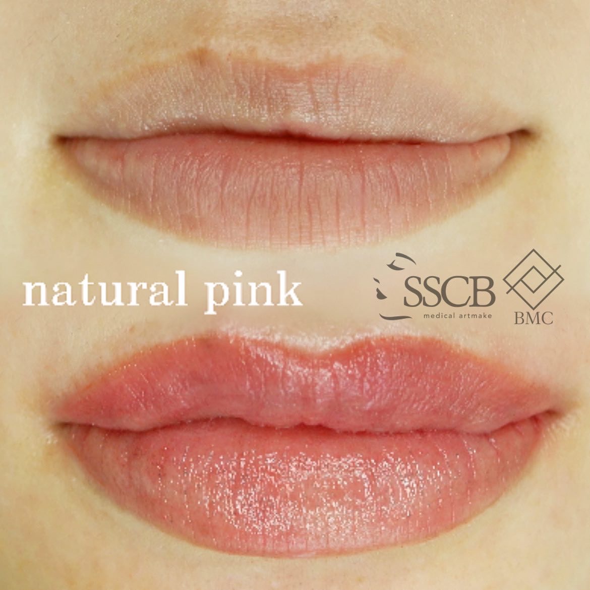 sscb_artmake_sawada_lip_20230523